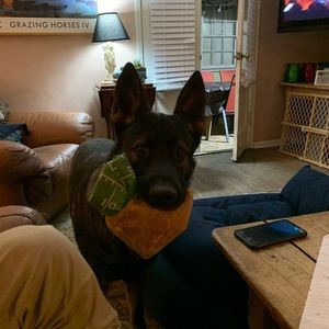 Meet your Posher, Karin